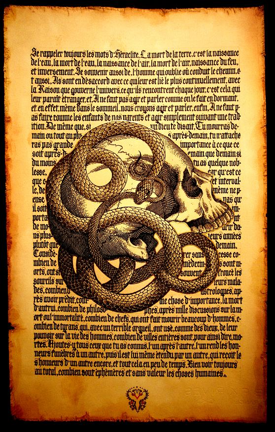 Taras-Danilov Milosevic - Orobouros